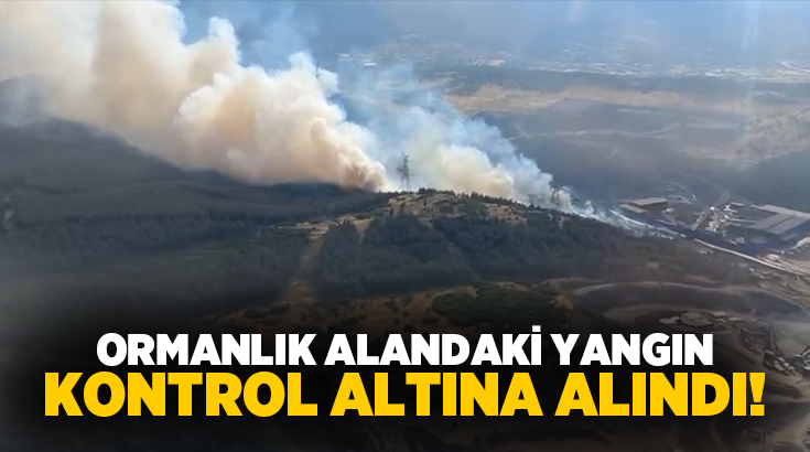 İzmir’in Aliağa ilçesinde ormanlık alanda çıkan yangın, ekiplerin havadan ve
