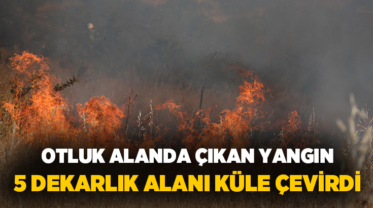 Muğla’nın Bodrum ilçesinde, Dereköy ile İslamhaneleri Mahalleleri arasında bulunan otluk