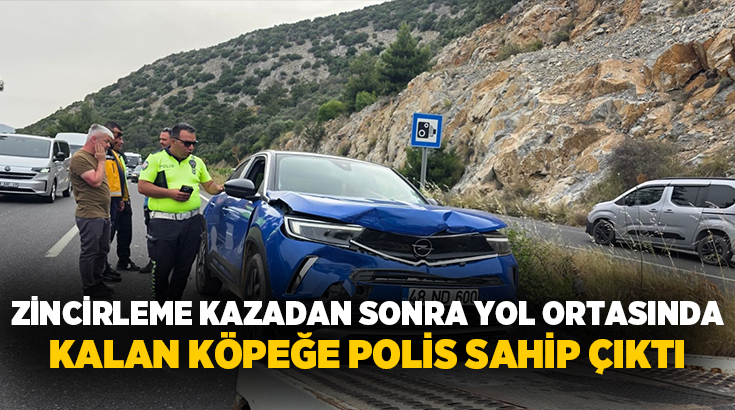Muğla’nın Milas ilçesinde üç aracın karıştığı zincirleme kazada bir kişi