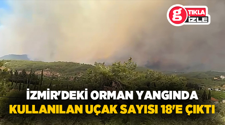 İzmir’in Menderes ilçesinde ormanlık alanda çıkan yangına, yapılan takviyeler sonrası