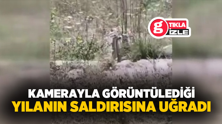 Elazığ’da bir şahıs, cep telefonu kamerası ile görüntülediği yılanın saldırısına