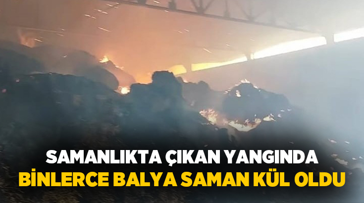 Manisa’nın Salihli ilçesinde bir çiftliğe ait samanlıkta çıkan yangında, binlerce