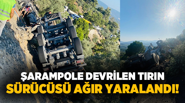 Muğla’nın Milas ilçesi Labranda yolu üzerinde meydana gelen kazada, freni
