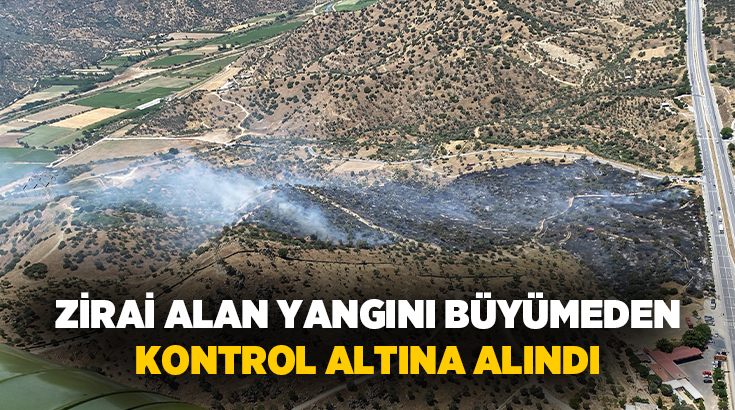 Aydın’ın Çine ilçesinde zeytinlik alanda çıkan yangın büyümeden kontrol altına