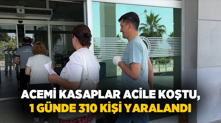 Aydın’da Kurban Bayramı’nın ikinci gününde il genelinde 310 kişi kurban