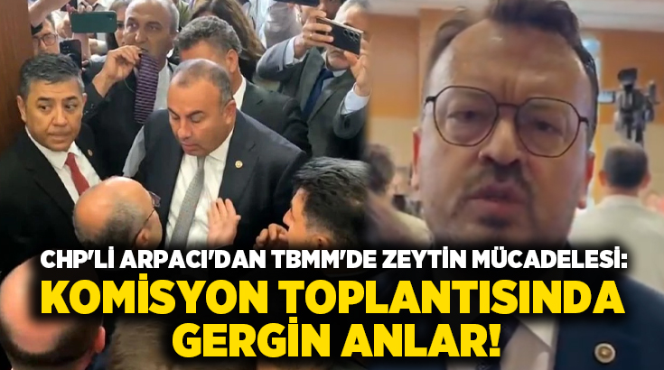 “Halkın Sesi İçeri Girmeli” Talebi Zeytinlik alanlarda enerji ve madencilik