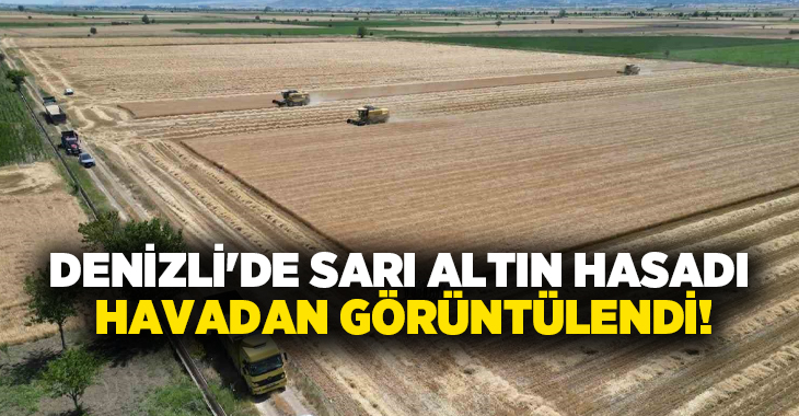 Denizli’nin Çal ilçesine bağlı İsabey Mahallesi’nde, tohumluk arpa üretimi yapan