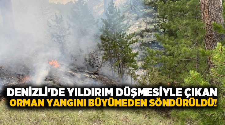 Yangın, Çameli ilçesi Akpınar Mahallesi yakınları Ekizoluk mevkiinde meydana geldi.