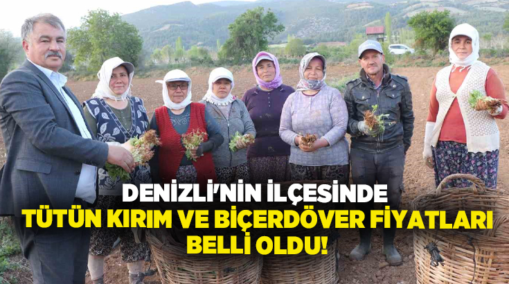 Sektör paydaşlarıyla yapılan istişareler soncunda belirlenen 2025 yılı tütün kırımı