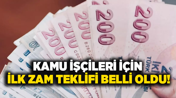 Karayolları, demiryolları, enerji santralleri, bakanlıklar, üniversiteler ve hastaneler gibi kamu