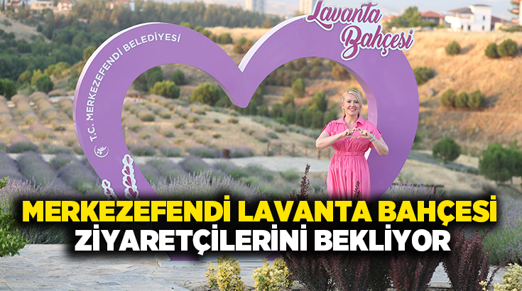 Merkezefendi Belediyesi’nce Yenişafak Mahallesi’ne yapılan Lavanta Bahçesi güzel kokusu ve
