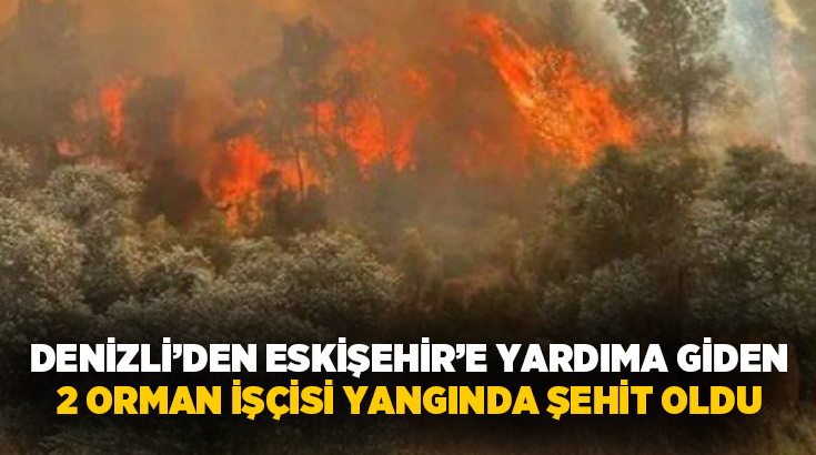 Eskişehir’in Seyitgazi ilçesinde çıkan orman yangınında, söndürme çalışmalarına katılan 10