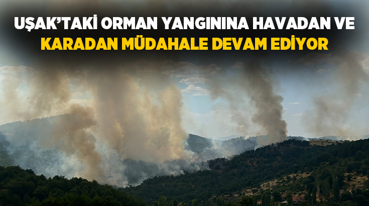 Uşak’taki orman yangınına havadan ve karadan müdahale devam ediyor.Uşak merkeze