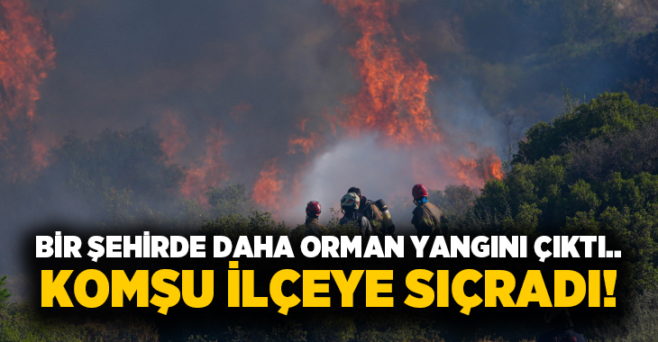 Sıcak havalarla birlikte artan orman yangınları ciğerlerimizi yakmaya devam ediyor.
