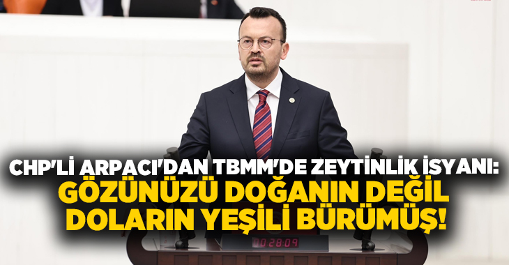 Kanun teklifinin zeytinlikleri madencilik faaliyetlerine kurban etmek istediğini belirten&nbsp;CHP Denizli