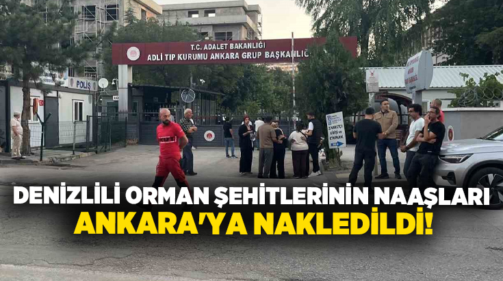 Eskişehir’in Seyitgazi ilçesinde başlayan ve Afyonkarahisar’ın İhsaniye ilçesine sıçrayan orman