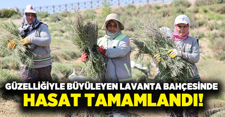 İlçe genelindeki çalışmalarına tüm hızıyla devam eden Merkezefendi Belediyesi, Yenişafak