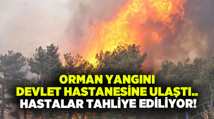 Çanakkale’de tarım arazisinde başlayıp ormanlık alana sıçrayan yangın Mehmet Akif Ersoy Devlet