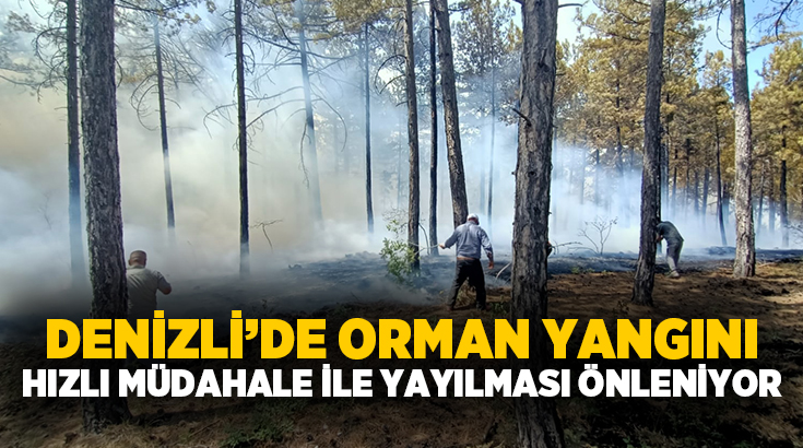 Denizli’nin Honaz ilçesine bağlı Karaçay Mahallesi’nde saat 13.45’te orman yangını