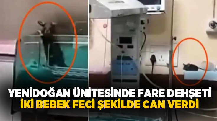 Hindistan’ın ‘en temiz şehri’ unvanına sahip Indore’daki bir devlet hastanesinde,