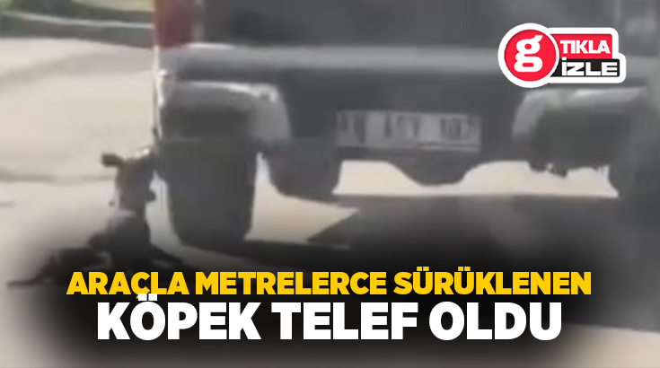 Muğla'nın Milas ilçesinde bir köpeğin araç arkasında sürüklendiği görüntülerle ilgili