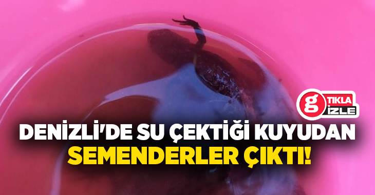 Denizli’nin Buldan ilçesinde tarihi kuyudan su çeken vatandaş kovasında semenderleri