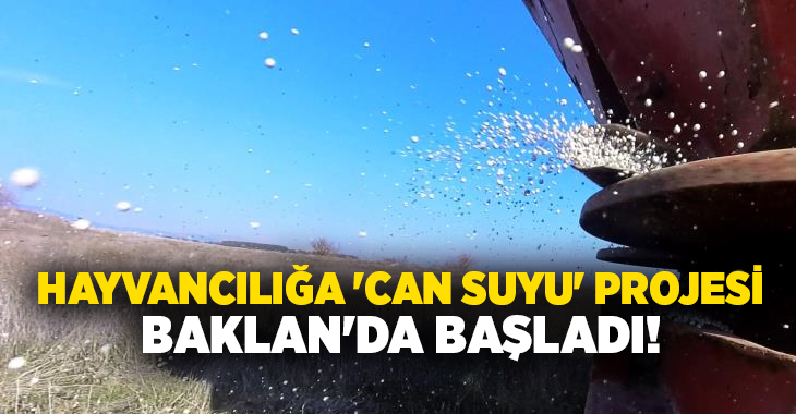  Denizli İl Tarım ve Orman Müdürlüğü, hayvancılığın en önemli girdisi