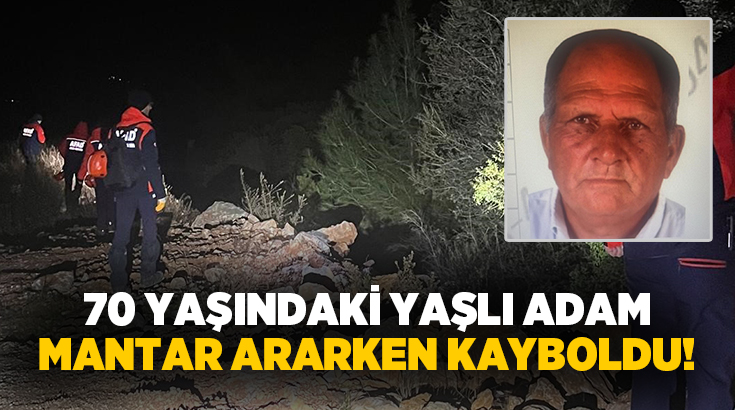 Muğla’nın Milas ilçesinde mantar toplamak için ormanlık alana giden ve
