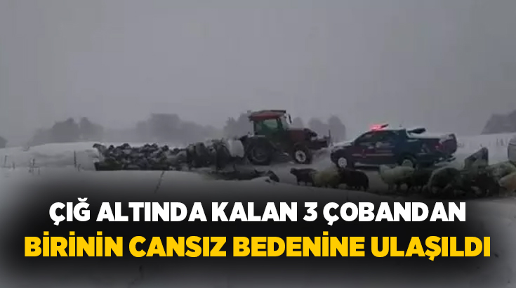 Artvin'in Ardanuç ilçesinde çığ altında kalan 3 çobandan birinin cansız