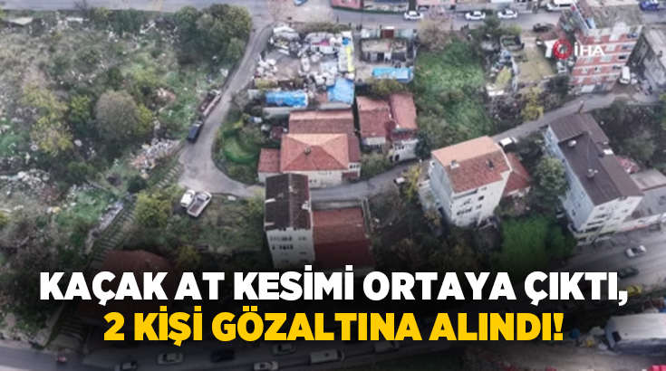 Ataşehir’de bir depoda kaçak at kesimi yapıldığı ve etlerinin satışa