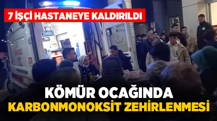 Kütahya'nın Gediz ilçesine bağlı Gökler beldesinde özel bir şirkete ait