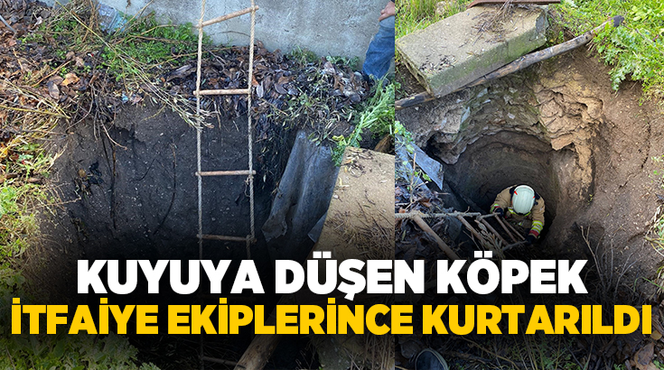 Manisa’nın Kırkağaç ilçesinde yaklaşık 5 metre derinliğindeki su kuyusuna düşen