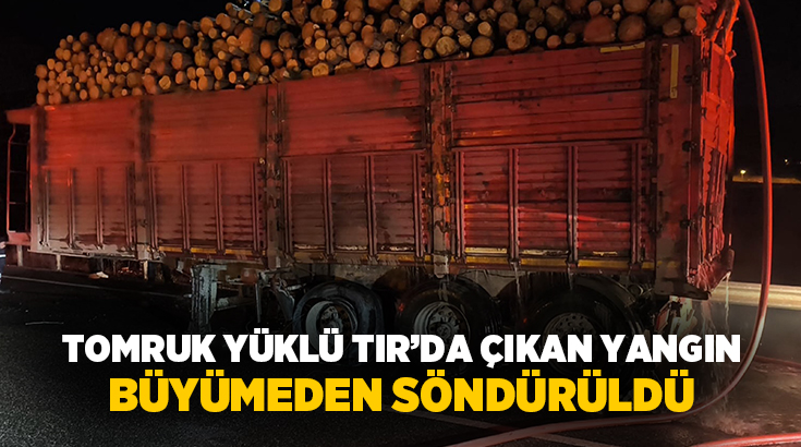 Muğla çevre yolunda seyir halinde olan tomruk yüklü bir TIR,