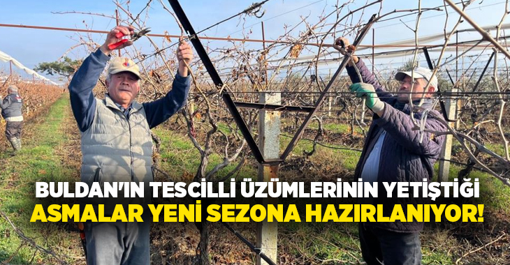 Denizli'nin tescilli sofralık üzümlerinin yetiştiği Buldan'da bağlarda çalışmalar başladı. Yeni