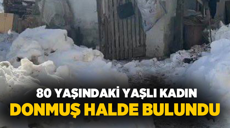 Karabük'ün Bulak köyünde etkili olan soğuk hava can aldı. 80