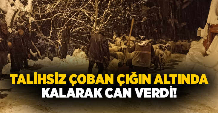 Giresun’un Güce ilçesinde meydana gelen çığ olayında bir çoban hayatını