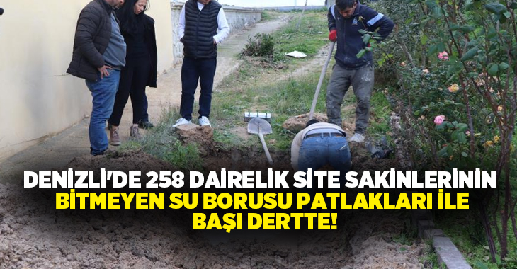 Denizli'de 2015 yılında inşa edilen 43 bloktan oluşan sitede bitmek
