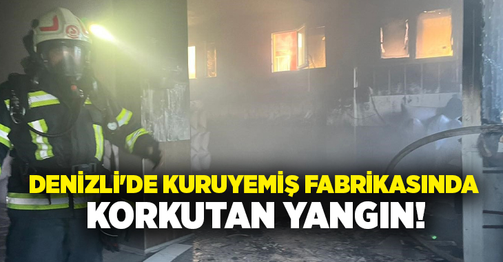 Denizli’nin Serinhisar ilçesinde bulunan kuruyemiş fabrikasında çıkan yangın, itfaiye ekiplerinin