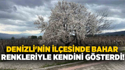 Denizli’nin Buldan ilçesinde devam eden yoğun yarışların arasında yüzünü gösteren