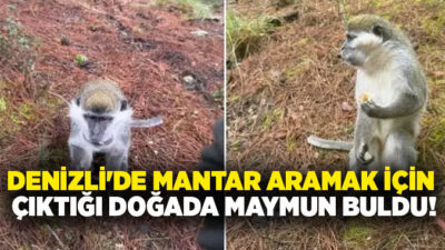 Denizli’de ormanda maymunla karşılaşan vatandaş, ekipler gelene kadar hayvanı oyalamaya