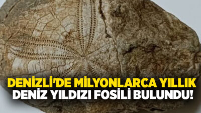 Denizli’nin Baklan ilçesinde doğa yürüyüşü sırasında bulunan deniz yıldızı fosili,