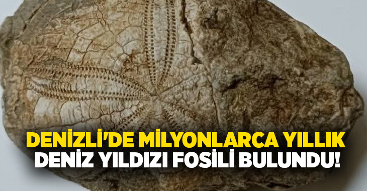 Denizli’nin Baklan ilçesinde doğa yürüyüşü sırasında bulunan deniz yıldızı fosili,