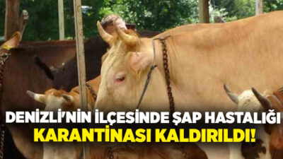 Buldan’da büyük ve küçükbaş hayvanlarda görülen şap hastalığı nedeniyle uygulanan