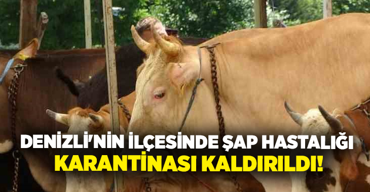 Buldan’da büyük ve küçükbaş hayvanlarda görülen şap hastalığı nedeniyle uygulanan