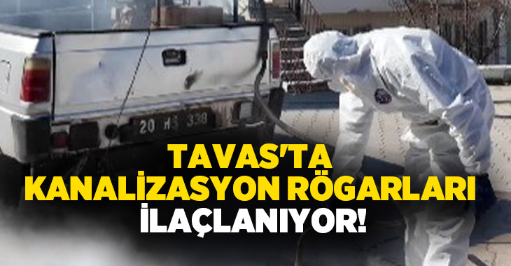 Tavas Belediyesi, yaz aylarında oluşabilecek haşere ve sivrisinek sorununa karşı