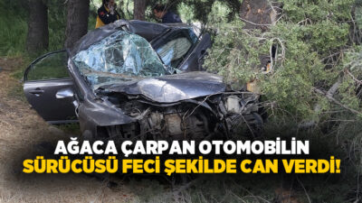 Balıkesir’de kontrolden çıkarak yol kenarındaki ağaçlara çarpan otomobilin hurdaya döndüğü