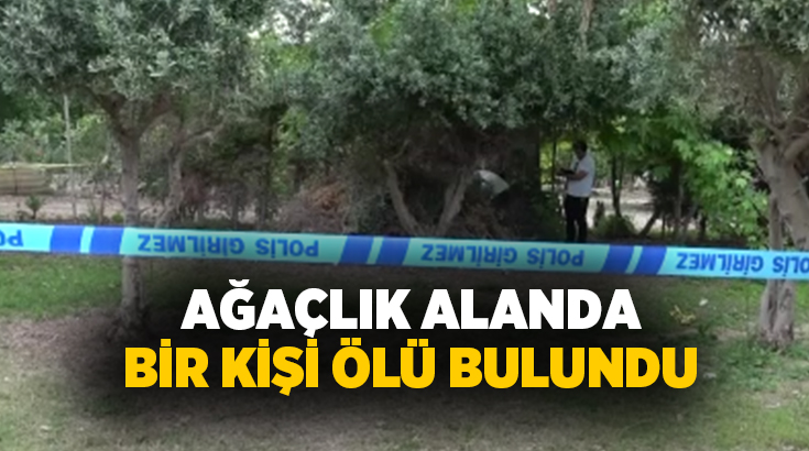 Antalya’da bir kişi ağaçlık alanda ölü olarak bulundu.