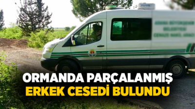 Adana’nın Ceyhan ilçesinde ormanlık alanda parçalanmış erkek cesedi bulundu.