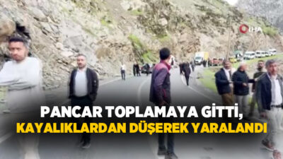 Şırnak’ın Beytüşşebap ilçesinde pancar toplamak için yüksek bölgeye çıkan şahıs,