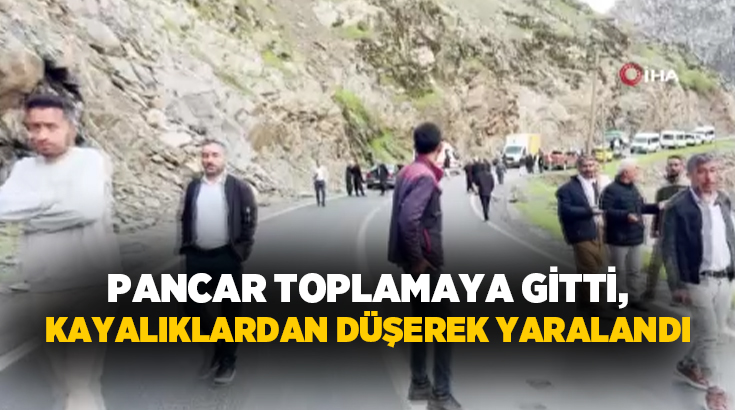 Şırnak’ın Beytüşşebap ilçesinde pancar toplamak için yüksek bölgeye çıkan şahıs,